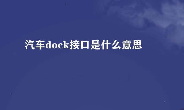 汽车dock接口是什么意思