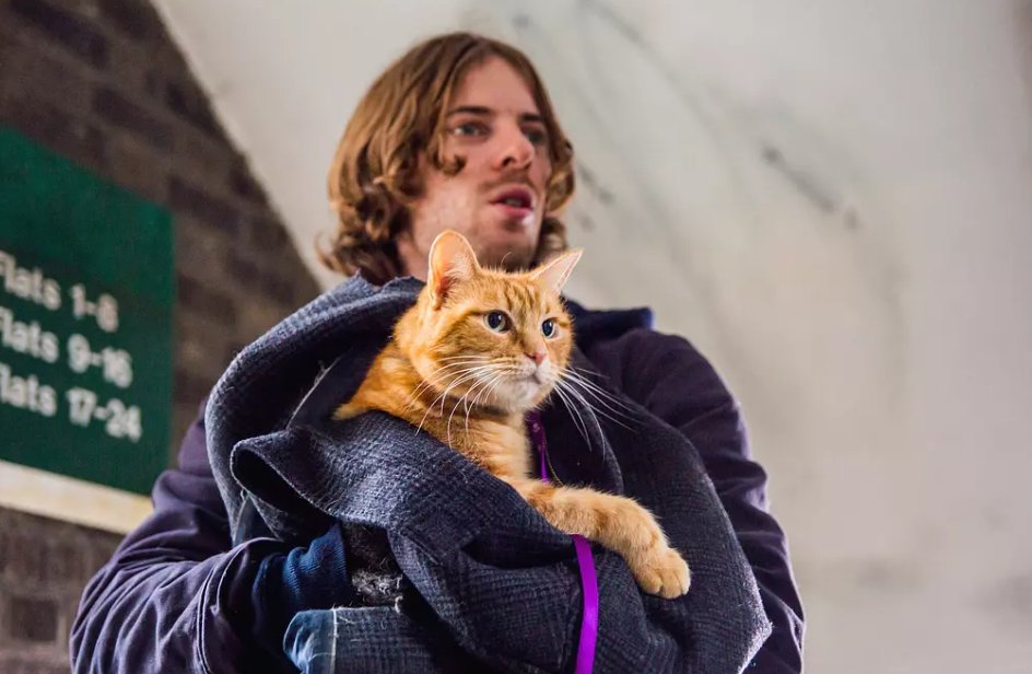 关于人和动物之间的电影有哪些