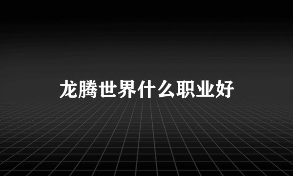 龙腾世界什么职业好