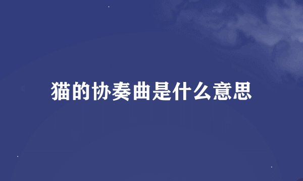 猫的协奏曲是什么意思