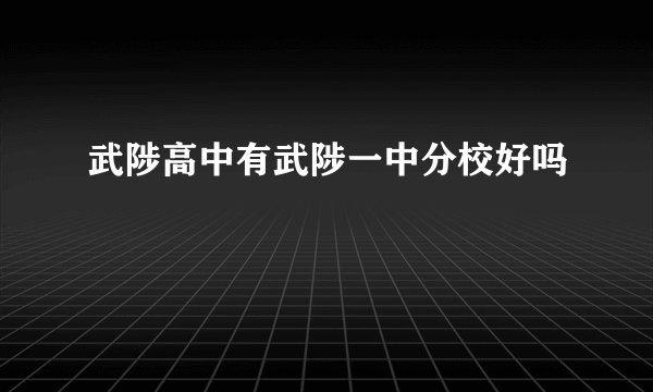 武陟高中有武陟一中分校好吗