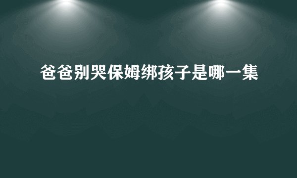 爸爸别哭保姆绑孩子是哪一集