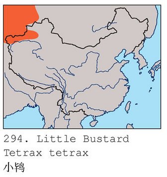 翎颌鸨的分布范围