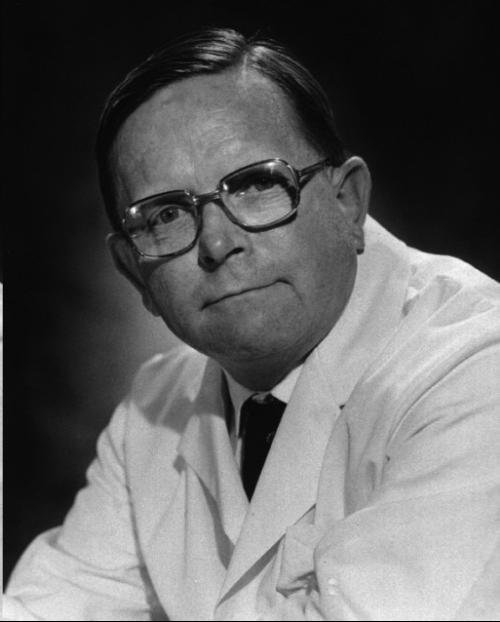 凡采尼的百科名片