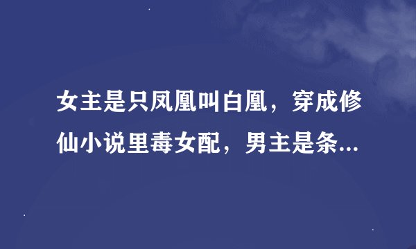 女主是只凤凰叫白凰，穿成修仙小说里毒女配，男主是条黑龙叫墨梧。求书名