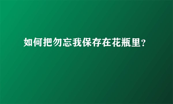 如何把勿忘我保存在花瓶里？