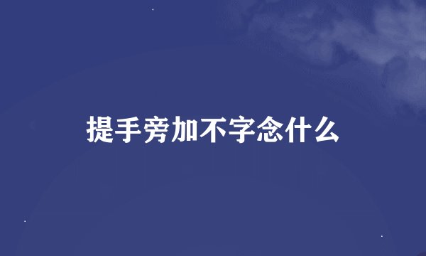 提手旁加不字念什么