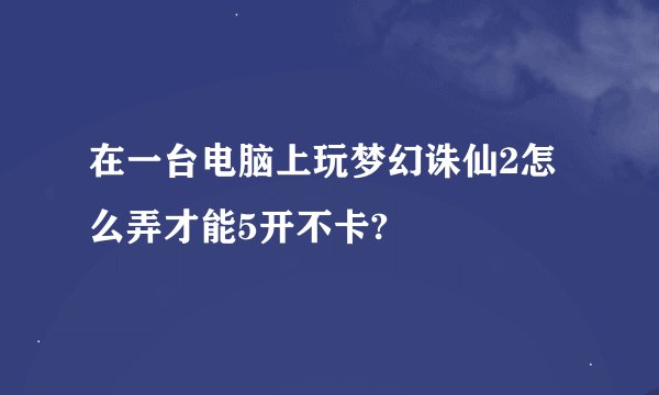 在一台电脑上玩梦幻诛仙2怎么弄才能5开不卡?