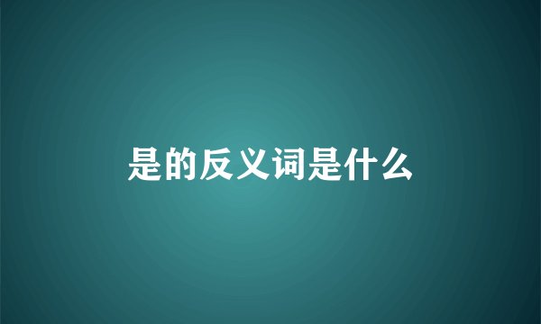 是的反义词是什么