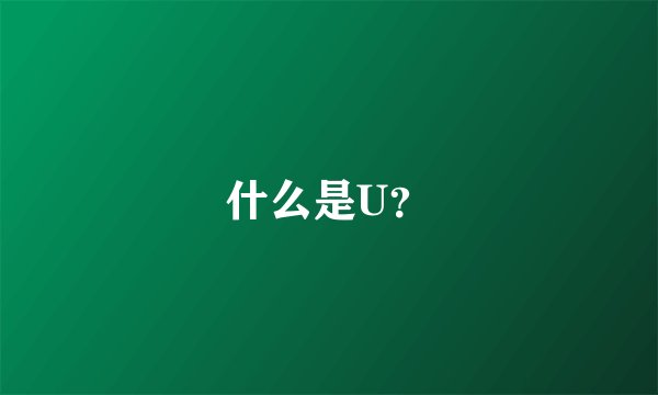 什么是U？
