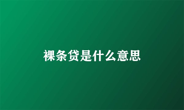 裸条贷是什么意思