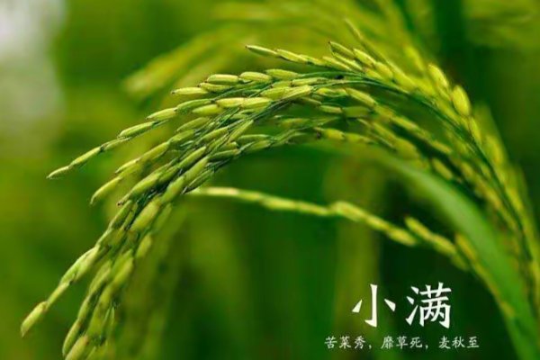 事事小满胜万全是什么意思