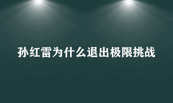 孙红雷为什么退出极限挑战