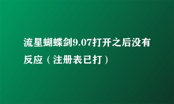 流星蝴蝶剑9.07打开之后没有反应（注册表已打）