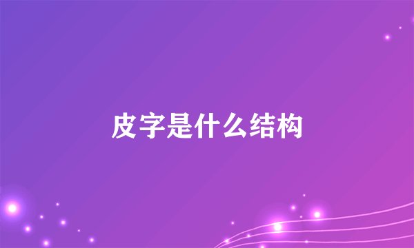 皮字是什么结构