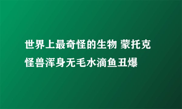 世界上最奇怪的生物 蒙托克怪兽浑身无毛水滴鱼丑爆