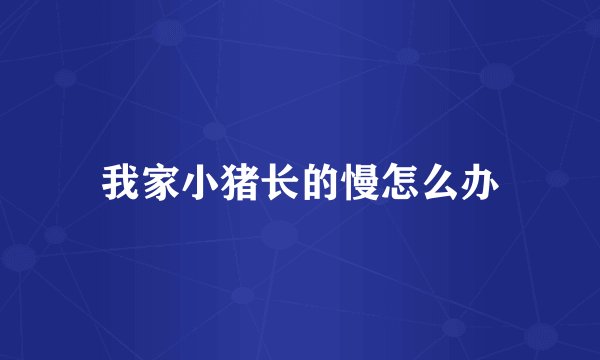 我家小猪长的慢怎么办