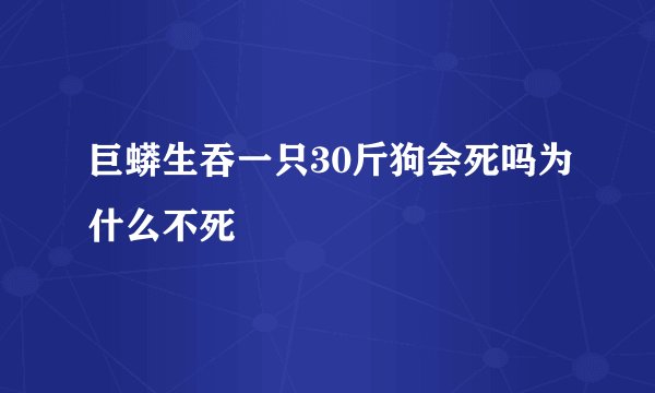 巨蟒生吞一只30斤狗会死吗为什么不死