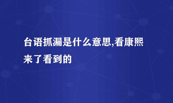 台语抓漏是什么意思,看康熙来了看到的