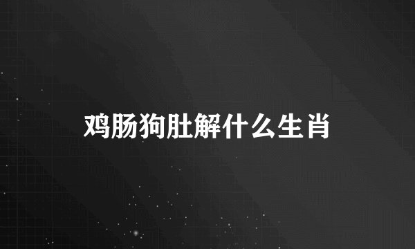 鸡肠狗肚解什么生肖