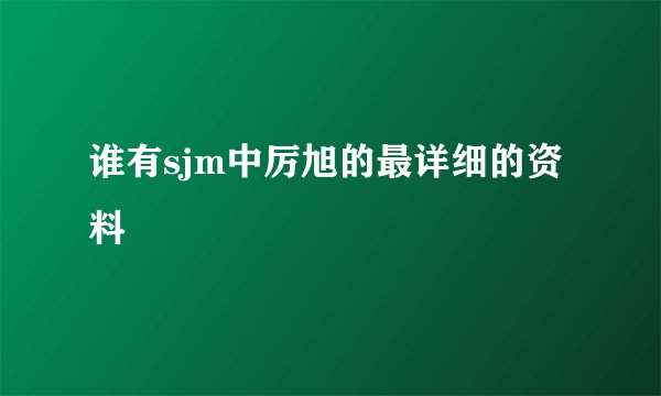 谁有sjm中厉旭的最详细的资料