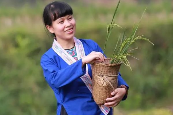 蓝衫是什么意思
