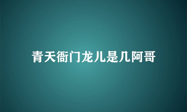 青天衙门龙儿是几阿哥