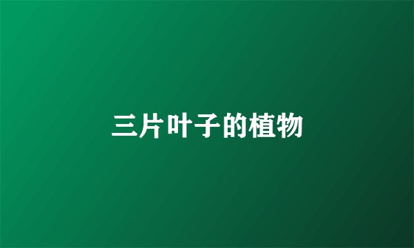 三片叶子的植物