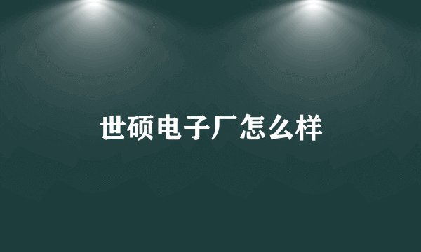 世硕电子厂怎么样