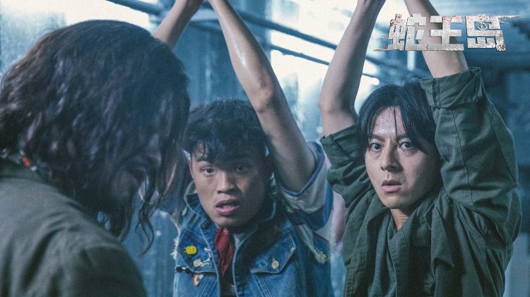 蛇王岛这部电影在哪里可以观看？