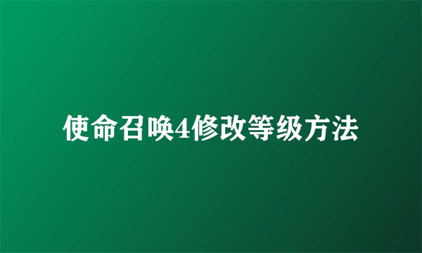 使命召唤4修改等级方法