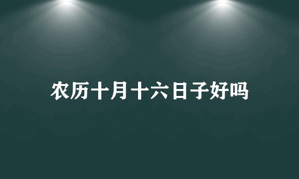 农历十月十六日子好吗
