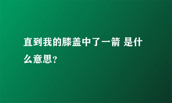 直到我的膝盖中了一箭 是什么意思？