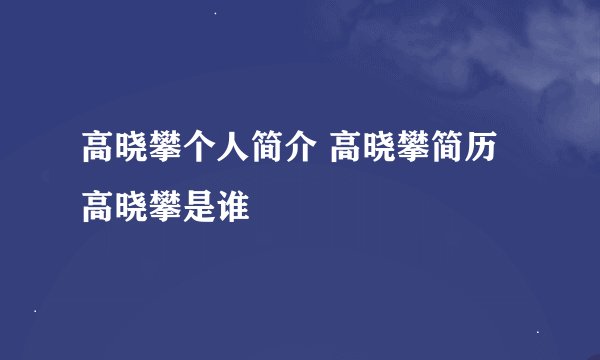 高晓攀个人简介 高晓攀简历 高晓攀是谁