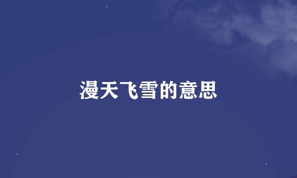 漫天飞雪的意思