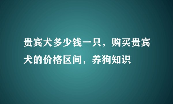 贵宾犬多少钱一只，购买贵宾犬的价格区间，养狗知识