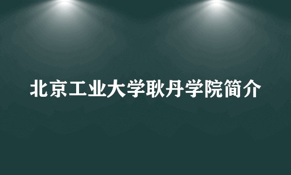 北京工业大学耿丹学院简介