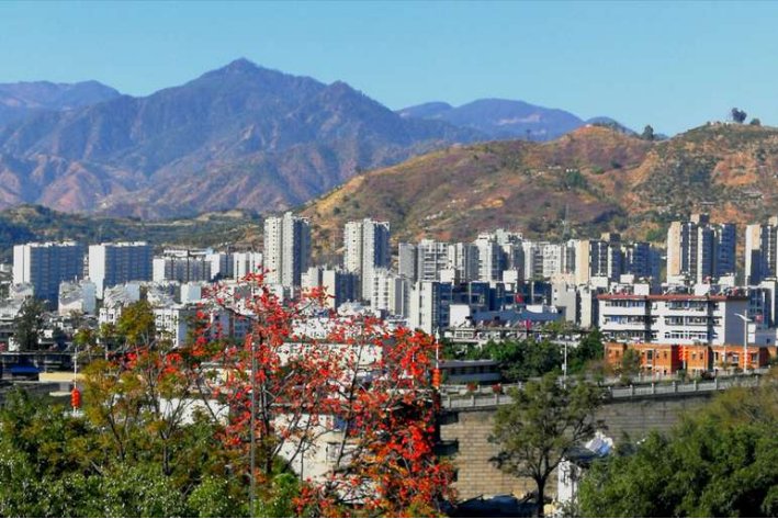 我国唯伊一个以花来命名的城市是哪一个