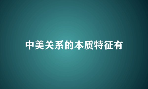 中美关系的本质特征有