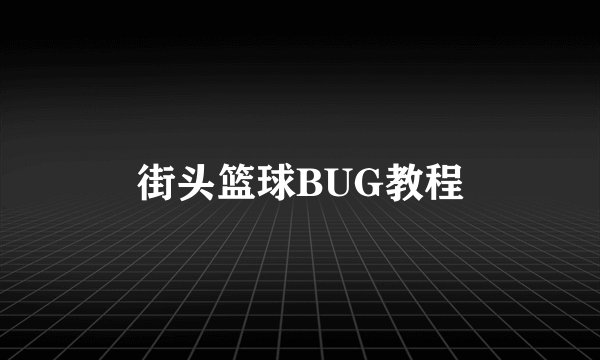 街头篮球BUG教程