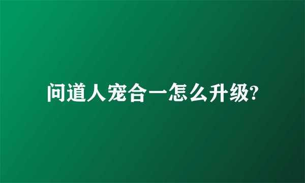 问道人宠合一怎么升级?