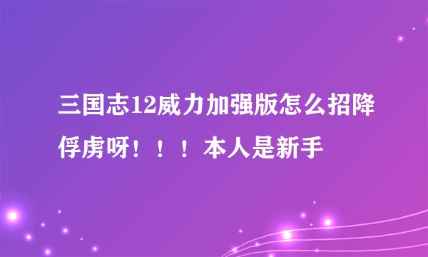 三国志12威力加强版怎么招降俘虏呀！！！本人是新手