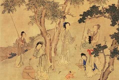 发乎情 止乎礼。 出自哪里， 要详细