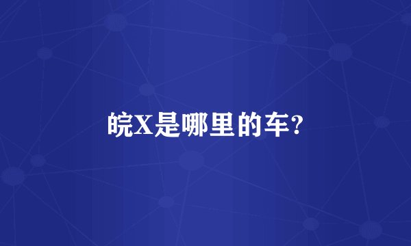 皖X是哪里的车?