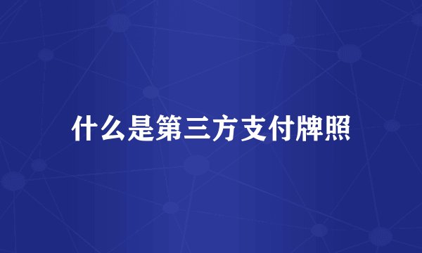 什么是第三方支付牌照
