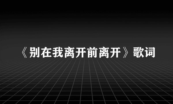 《别在我离开前离开》歌词