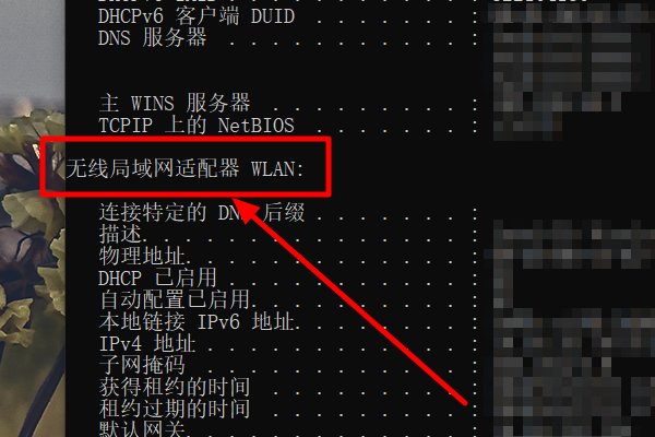 如何查看电脑的网卡地址