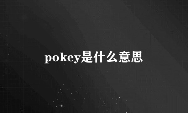 pokey是什么意思