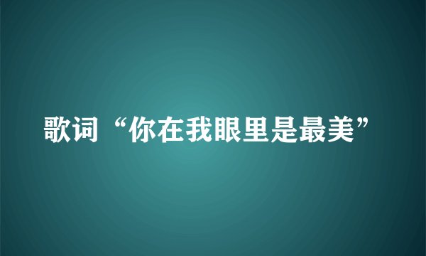 歌词“你在我眼里是最美”