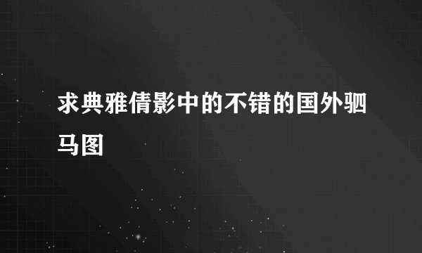 求典雅倩影中的不错的国外驷马图